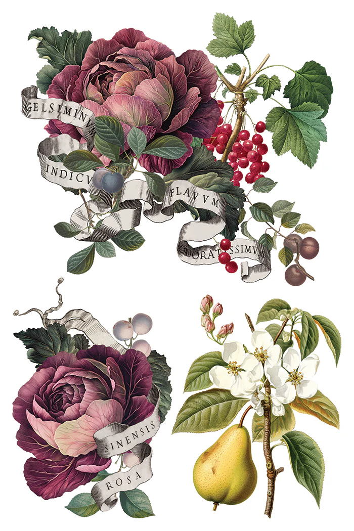 Transfer Clementine - 20x30cm - Imagem 7