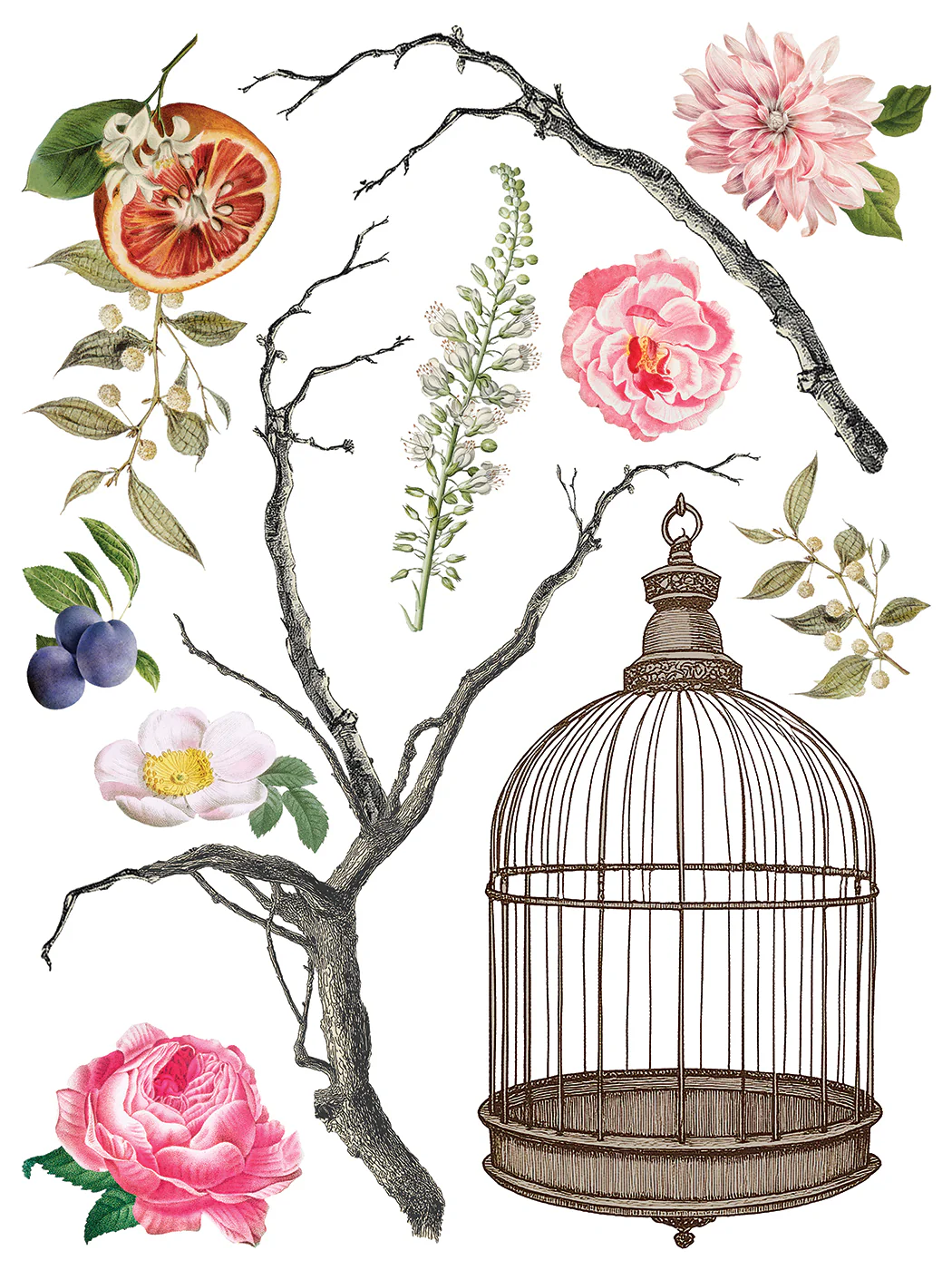 Transfer Menagerie 30x40 - Imagem 2