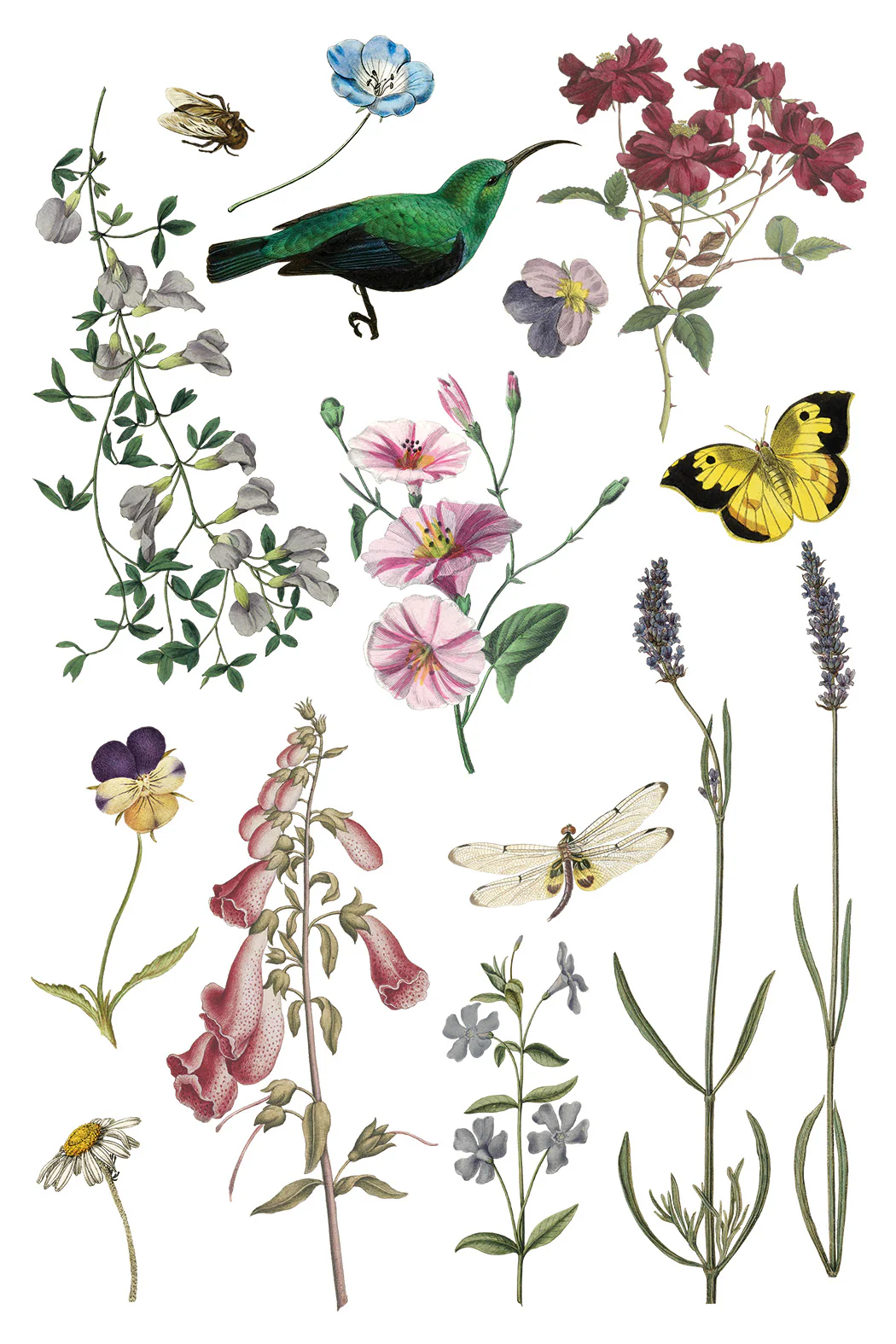 Transfer Wilde Bloemen - 20x30cm - Imagem 4