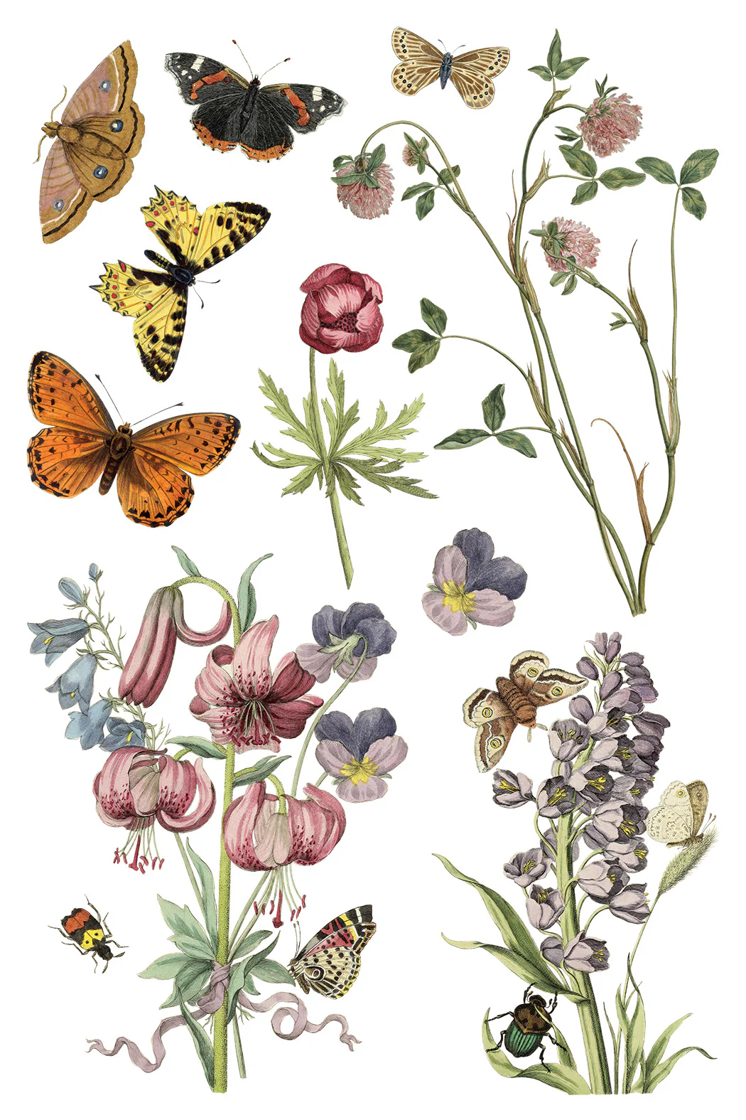 Transfer Wilde Bloemen - 20x30cm - Imagem 5