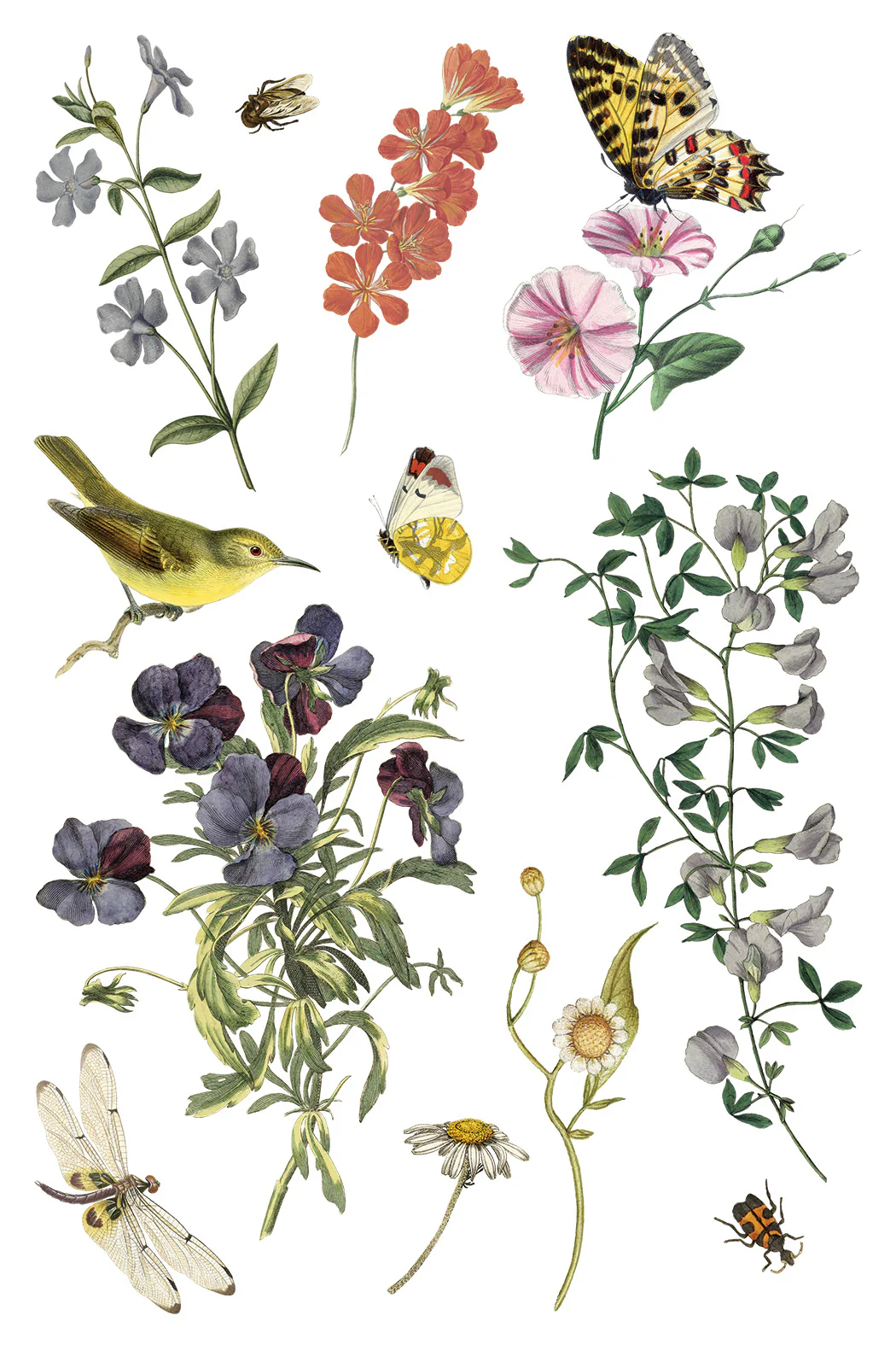 Transfer Wilde Bloemen - 20x30cm - Imagem 6