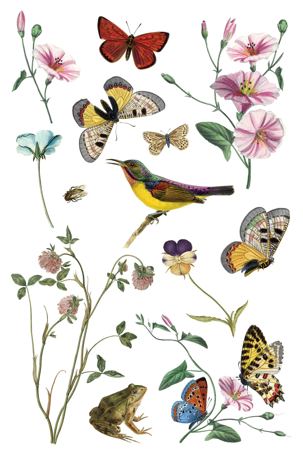 Transfer Wilde Bloemen - 20x30cm - Imagem 7