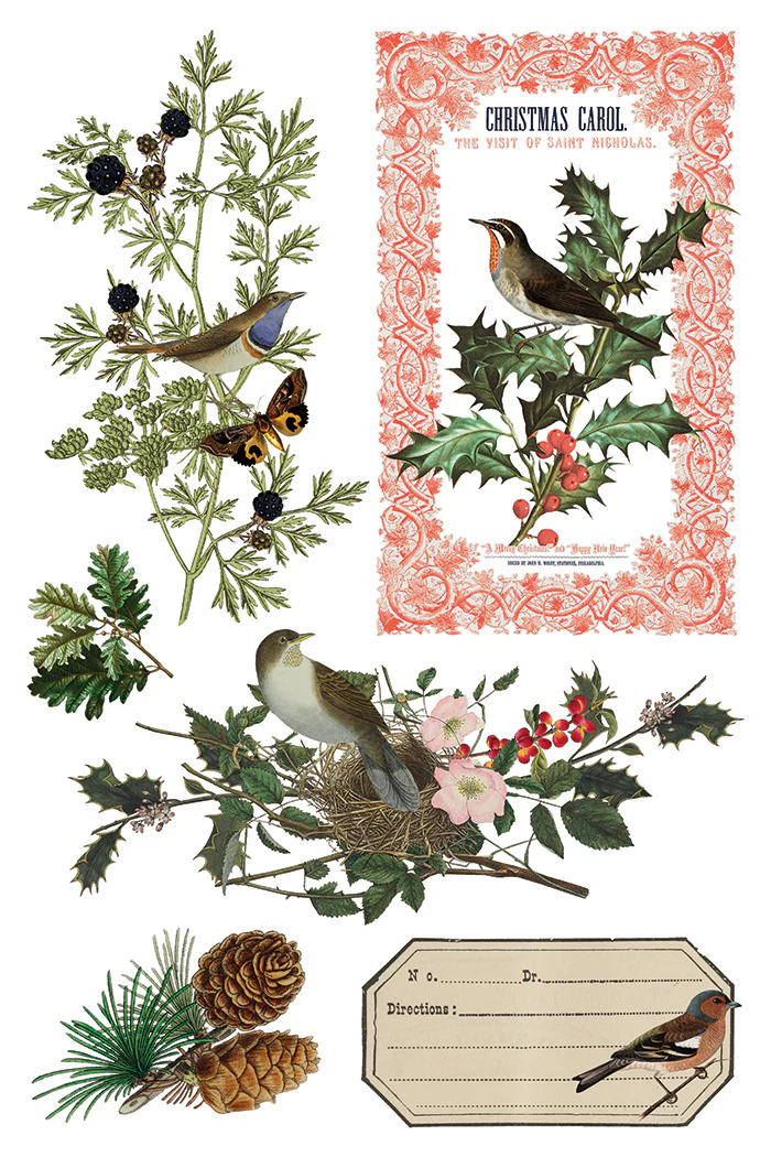 Transfer Winter Botanist - 20x30cm - Imagem 5