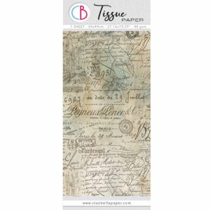 Papel Tissue Old Ledgers/HT003 - 69x49cm