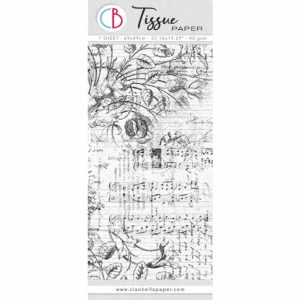 Papel  Tissue Aesthetic/HT030 - 69x49cm