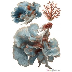 Color Transfer/TRM059 - 27x21cm